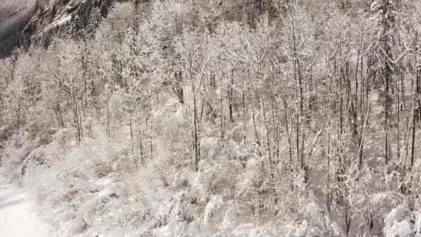 在寒冷的冬天 在雪地覆盖的时候 空中俯瞰雪地 在被太阳覆盖的森林周围旋转着视差 树枝上的雪融化了 — 图库视频影像