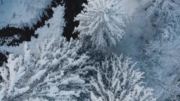 Veduta Aerea Del Cirque Fer Cheval Mentre Era Coperto Neve — Video Stock