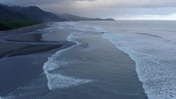 Aerial Foamy Sea Waves Hitting Sand Shore Sense Rain Forest — Stock Video