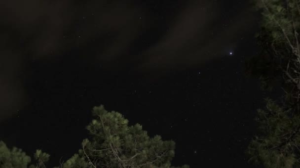 4K在夜空中移动的恒星和夜间在森林中快速飞行的云彩的时间差 — 图库视频影像