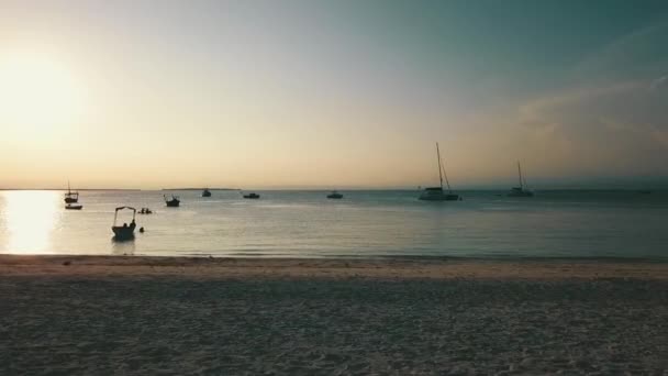 비행체가 무인기를 해변을 황금의 시간에 곳으로 Paradise Dream Zanzibar Africa — 비디오