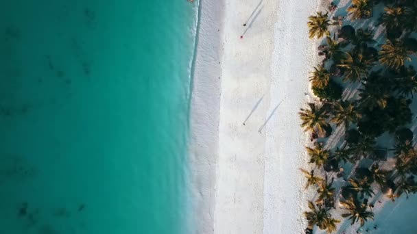 Beyaz Kumcenneti Rüya Sahili Sahil Şeridi Zanzibar Afrika Tanzanya Üzerinde — Stok video