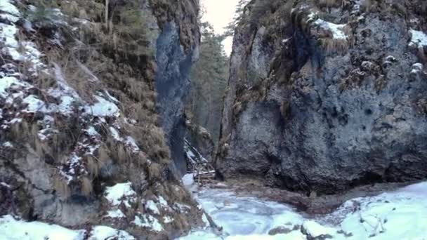 在冬季森林中陡峭的落基山脉上 无人接近 空中射击 — 图库视频影像