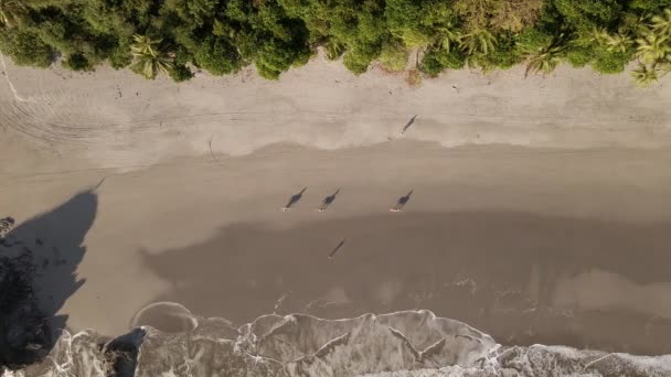 Letecký Pohled Lidi Kráčející Pláži Manuel Antonio Quepos Kostarika Pták — Stock video
