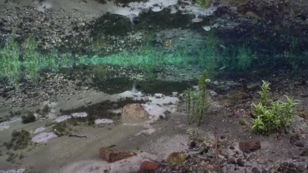天然の淡水の春の広角ビュー 泡砂の底 — ストック動画