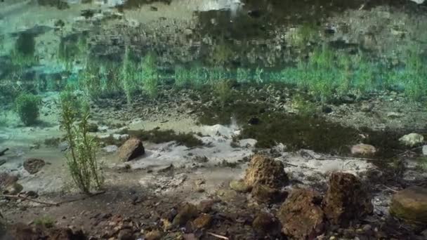 Los Rayos Del Sol Juegan Fondo Fuente Natural Agua Dulce — Vídeos de Stock