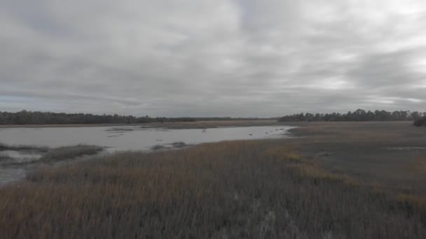 Drone Tiro Pescadores Pólo Charleston Sal Pântano — Vídeo de Stock