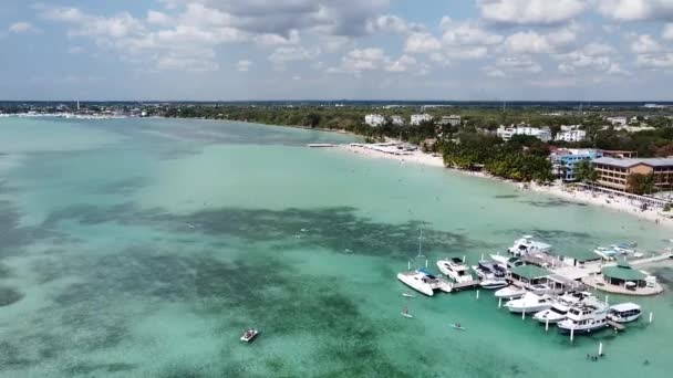 Repubblica Dominicana Boca Chica 2022 Aereo Sopra Turisti Cavallo Paddle — Video Stock