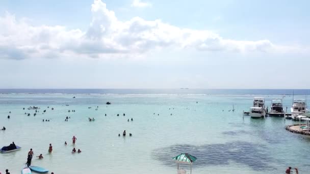 Drone Flying Sea Showing Caribbean Life Dominican Republic Boca Chica — Αρχείο Βίντεο