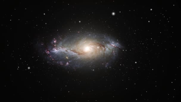 Галактика Всесвіті — стокове відео