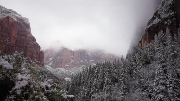 Low Hanging Clouds Fog Cover Zion National Park Blanket — Stock Video