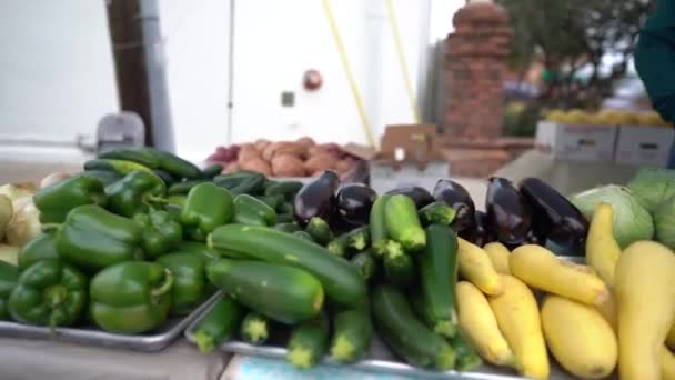 Fresh Produce Farmers Market Medium Shot — Αρχείο Βίντεο