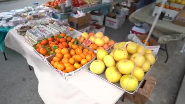 Fresh Ruby Grapefruits Sale Farmers Market Medium Close Shot — Stock Video