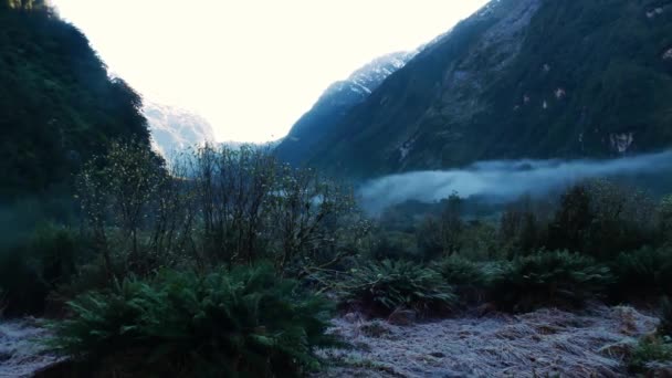 Panning Tiro Paisagem Floresta Densa Molhada Entre Montanhas Pela Manhã — Vídeo de Stock