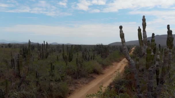 Estrada Terra México Rural Perto Todos Santos Drone Clipe Panning — Vídeo de Stock