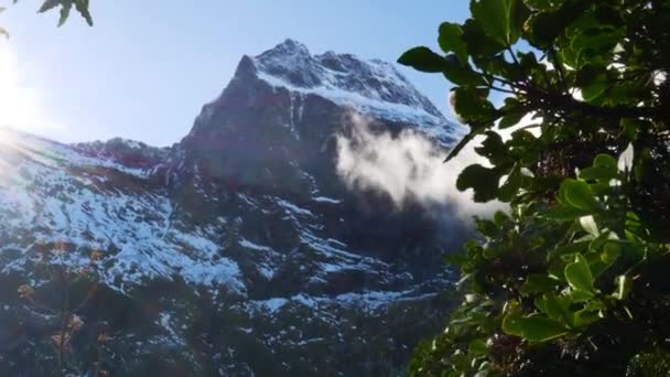 雪の山を背景に空中に浮かぶ雲のパノラマショット ミルフォード トラック ニュージーランド — ストック動画