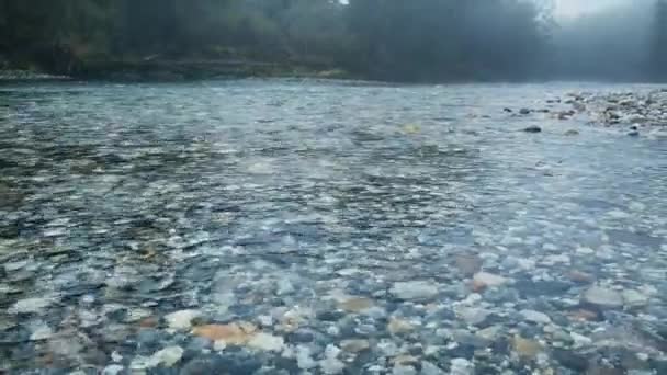 Río Agua Clara Con Muchas Piedras Colores Suelo Selva Nueva — Vídeos de Stock