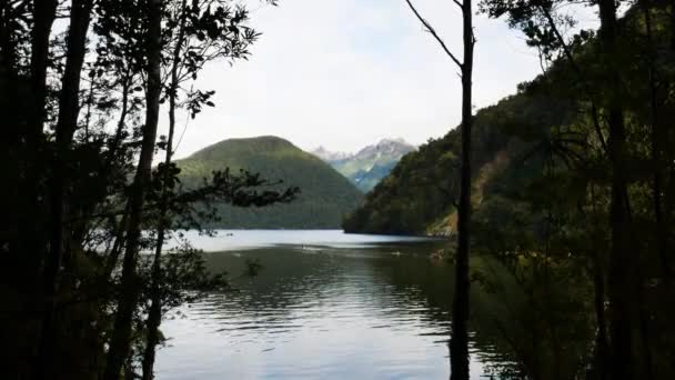 在新西兰米尔福德赛道上 俯瞰着绿山环绕的宁静的湖面 — 图库视频影像