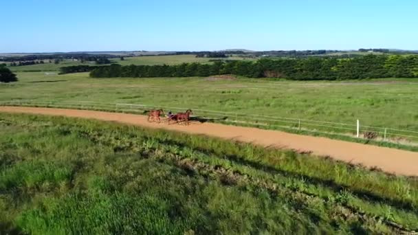 Drone Luar Biasa Atas Rel Kuda Harness — Stok Video