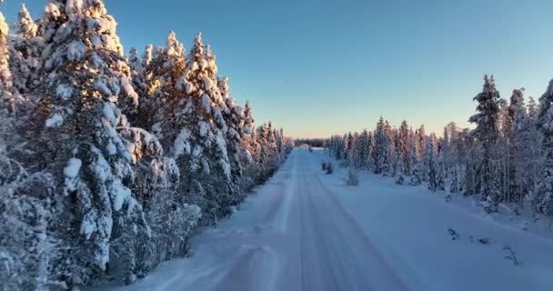 雪の木と深い雪の壁 ラップランドでの黄金の時間の途中で道路上の空中ドローンビュー — ストック動画