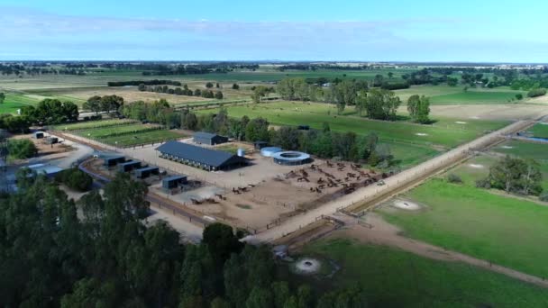 Drone Revelación Granja Caballos Con Campos — Vídeo de stock