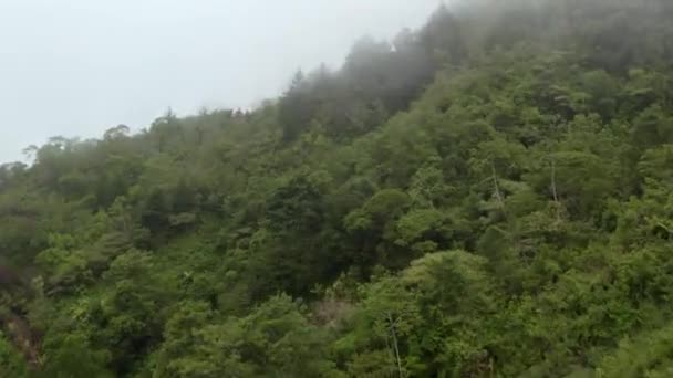 Aerial Dolly Chirripo Green Dense Forest Hillside Covered White Foogy — Stock Video