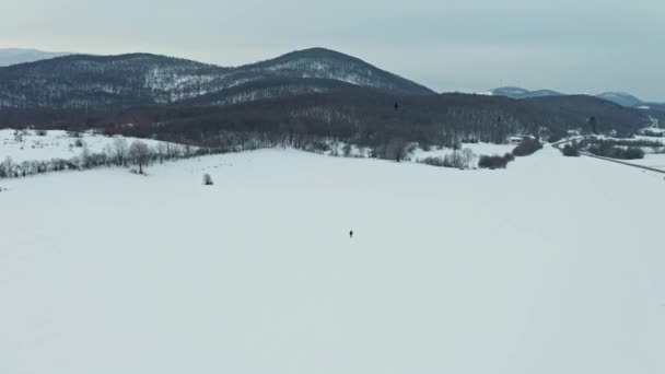 Letecký Dron Záběr Muže Kráčejícího Sněhu — Stock video