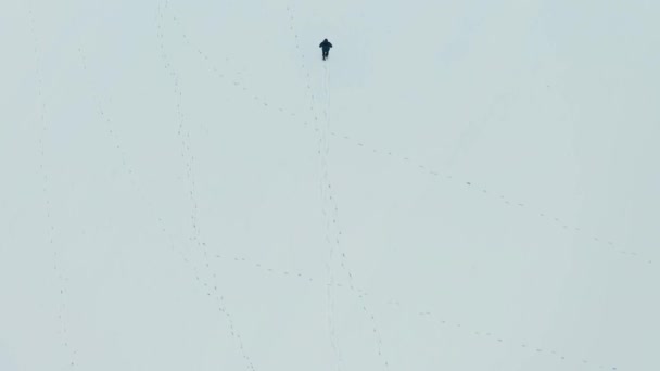 Drohnenaufnahmen Des Mannes Beim Gehen Schnee — Stockvideo