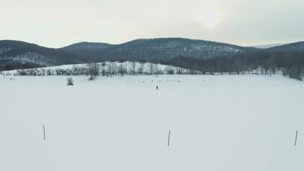 Aerial Drone Shot Man Walking Snow — Vídeo de stock