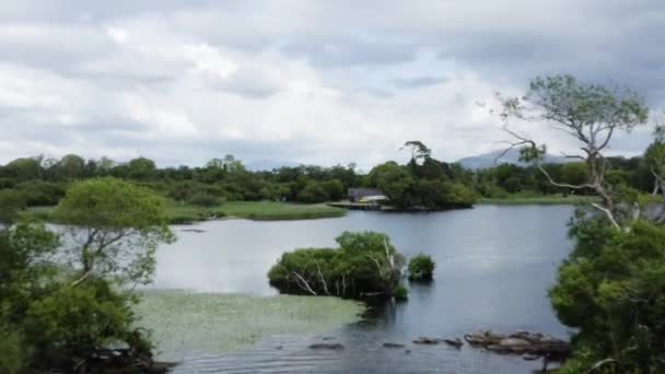 Aerial Humedales Bosques Parque Nacional Killarney Irlanda Hacia Adelante Cinemática — Vídeos de Stock