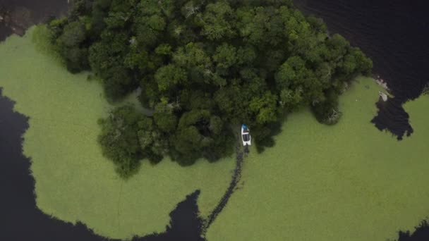 Aerial Zonas Húmidas Floresta Parque Nacional Killarney Irlanda Cima Para — Vídeo de Stock