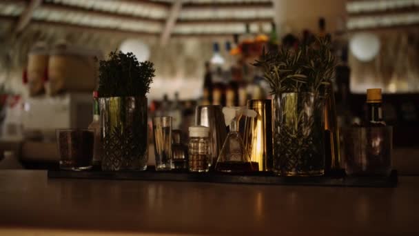 Drinkbak Met Diverse Ingrediënten Mixers Voor Cocktails Aan Bar — Stockvideo