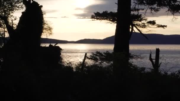 Riflessioni Quiet River Con Silhouette Washington Park Anacortes Washington Usa — Video Stock