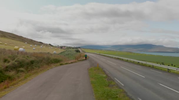 Hooibergen Langs Zee Ijsland Uitzicht Vanaf Drone — Stockvideo