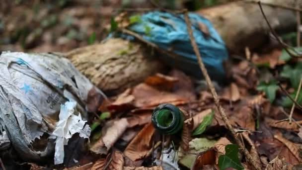 Plastik Und Alte Glasflasche Wald Zurückgelassen Nahaufnahme — Stockvideo