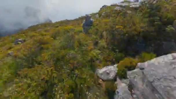 Spectaculaire Luchtfoto Van Ruige Natuur Tafelberg Zuid Afrika — Stockvideo