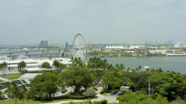 Flygning Mot Skyviews Miami Observation Wheel Från Bayfront Park — Stockvideo