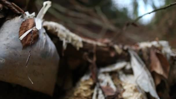 Basura Vieja Plástico Contamina Medio Ambiente Tiro Cerca — Vídeos de Stock