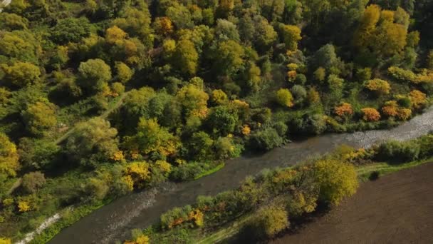 Luftaufnahme Einer Wunderschönen Herbstkulisse Einer Kleinen Serbischen Stadt Flusswäldern Und — Stockvideo
