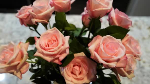 Una Docena Rosas Rosadas Centro Lento Zoom Hacia Fuera — Vídeo de stock