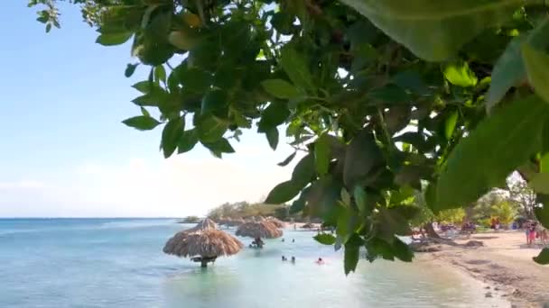 Vista Aérea Das Ondas Mar Guarda Chuvas Palmeiras Verdes Praia — Vídeo de Stock