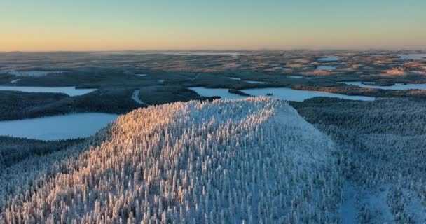 Flygfoto Runt Det Snöiga Konttainen Berget Gyllene Timmen Kuusamo Finland — Stockvideo