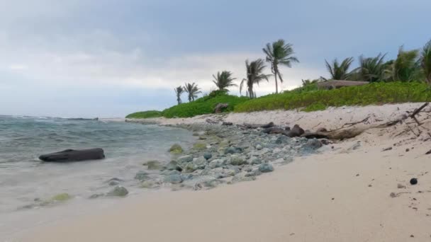 Winderige Dag Met Uitzicht Zee Groene Palmen Het Zandstrand Ochtend — Stockvideo
