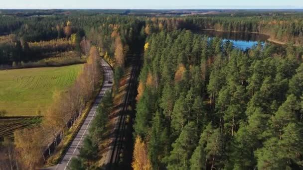 Widok Lotu Ptaka Las Liściasty Odsłaniający Staw Pociąg Towarowy Wznoszący — Wideo stockowe