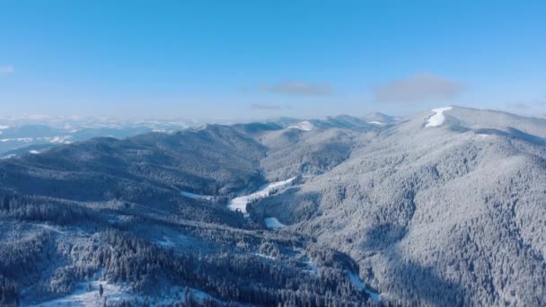 Vista Dense Woodland Snow Mountains Winter Season Inglés Aerial Drone — Vídeos de Stock