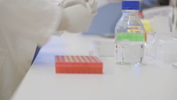 Naukowiec Używa Ochronnych Białych Rękawic Badań Laboratoryjnych Klinice Laboratoryjnej Pipetą — Wideo stockowe