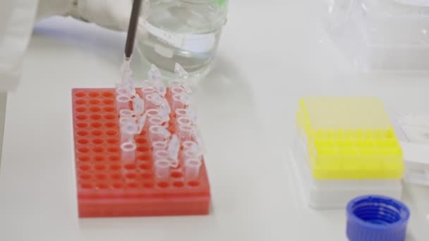 Kokeilua Suorittava Tutkija Käyttää Pipettiä Täyttääkseen Koeputket Nesteellä Farmaseuttisessa Laboratoriossa — kuvapankkivideo
