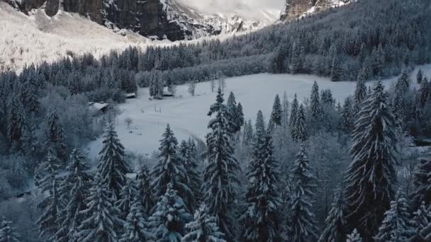 Flygvy Över Cirque Fer Cheval Medan Den Täckt Snö Kall — Stockvideo