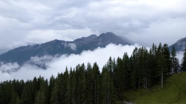 雲に覆われた山岳風景のヨーロッパの松の森の周りの風景ドローン飛行 — ストック動画