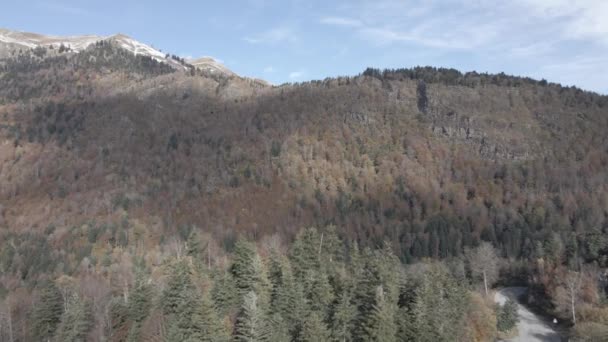 Letecký Pohled Pralesa Pyrenejí — Stock video
